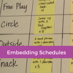 Embedding Schedules Library Image