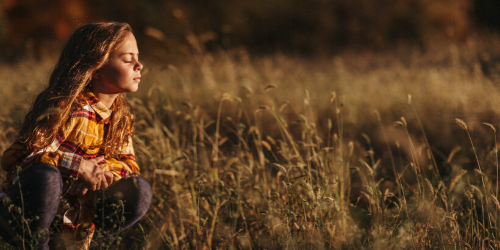 IA DEC Q&A Feature Image